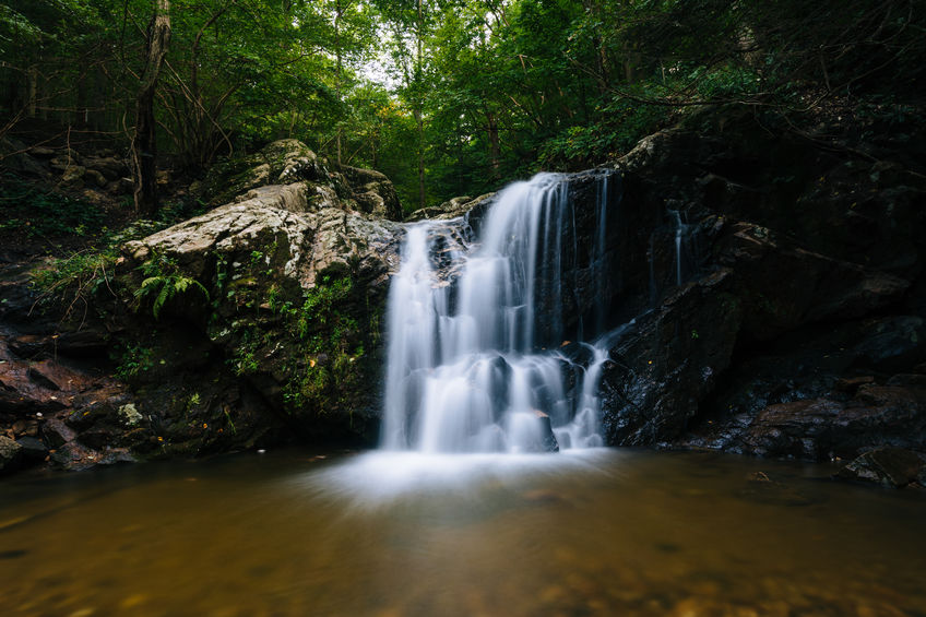Places You Need To Visit In Ellicott City