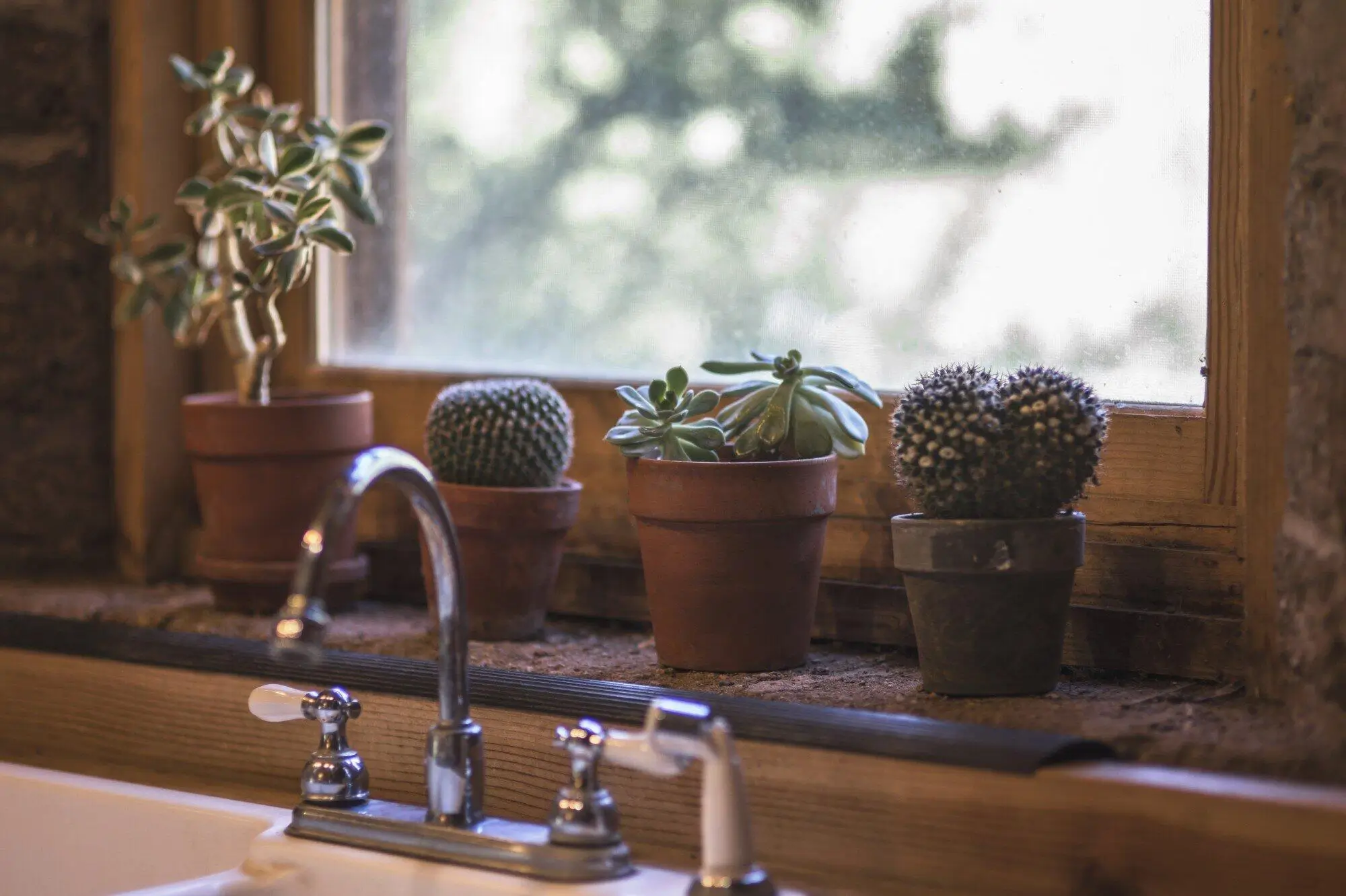 Tips for Maintaining a Clean Kitchen in Your Rental in Ellicott City
